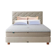 KASUR - SPRINGBED Kasur Springbed Quantum Posture Master Latex Zipper HB Azalea QUANTUM OSCARLIVING