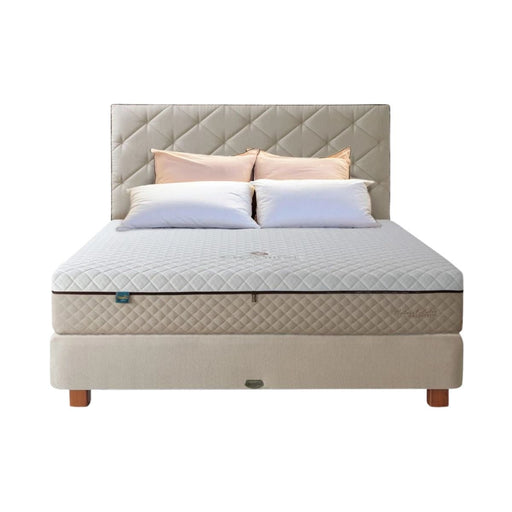 KASUR - SPRINGBED Kasur Springbed Quantum Posture Master Latex Zipper HB Azalea QUANTUM OSCARLIVING