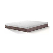 KASUR - SPRINGBED Kasur Springbed Quantum Posture Master Ortho Zipper HB Ferguson QUANTUM OSCARLIVING