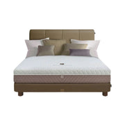 KASUR - SPRINGBED Kasur Springbed Quantum Posture Master Ortho Zipper HB Ferguson QUANTUM OSCARLIVING