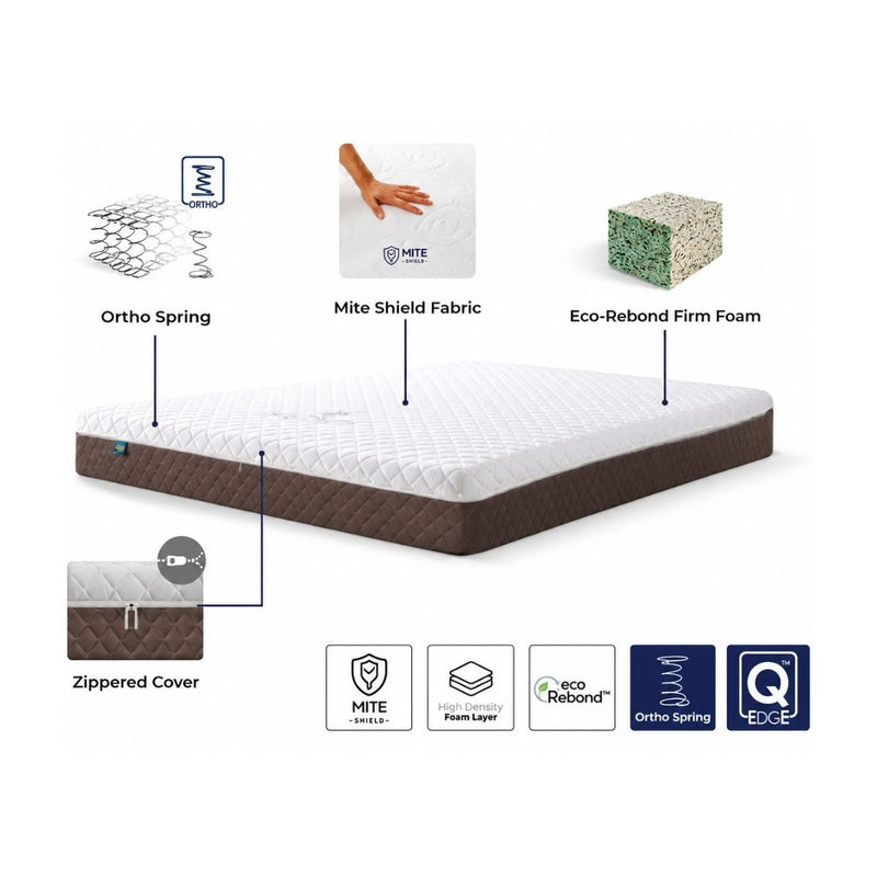 KASUR - SPRINGBED Kasur Springbed Quantum Posture Master Ortho Zipper HB Ferguson QUANTUM OSCARLIVING