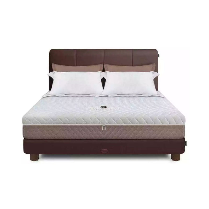KASUR - SPRINGBED Kasur Springbed Quantum Posture Master Ortho Zipper HB Ferguson QUANTUM OSCARLIVING