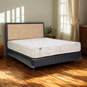 KASUR - SPRINGBED Kasur Springbed Quantum Posture Master Orthopedic HB Queenstown | Fullset Kent QUANTUM OSCARLIVING
