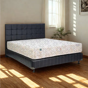 KASUR - SPRINGBED Kasur Springbed Quantum Posture Master Orthopedic HB Sydney | Fullset Kent QUANTUM OSCARLIVING