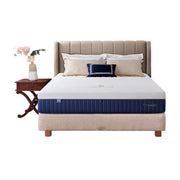 KASUR - SPRINGBED Kasur Springbed Quantum Posture Master Pocket Latex Zipper HB Bedford QUANTUM OSCARLIVING