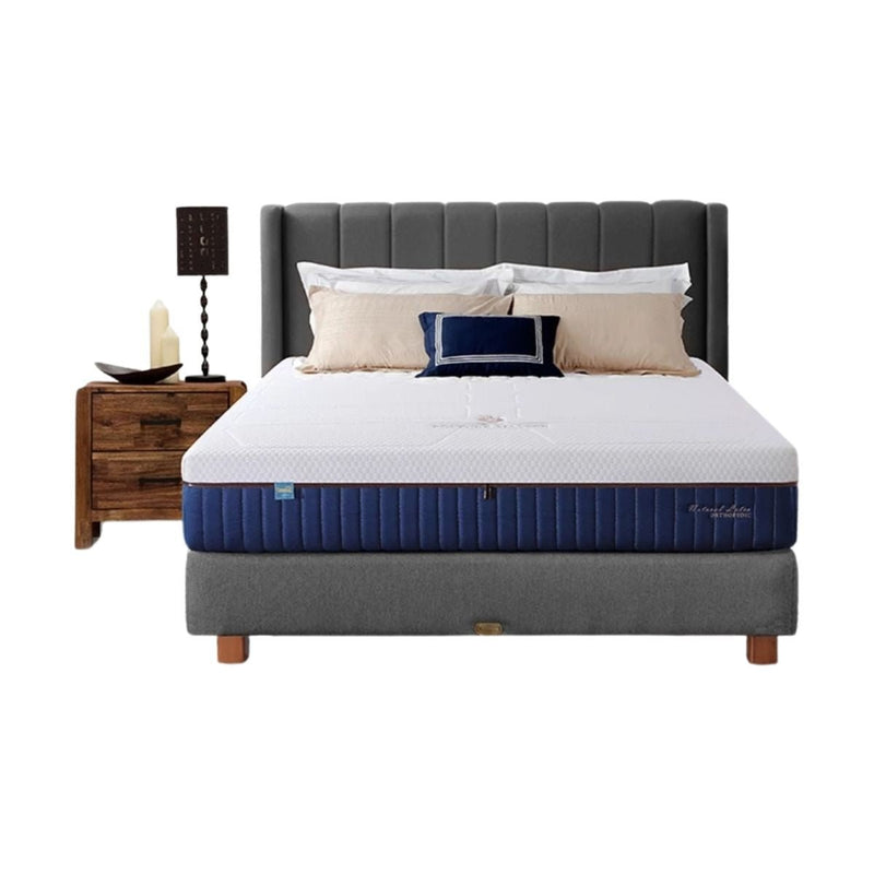 KASUR - SPRINGBED Kasur Springbed Quantum Posture Master Pocket Latex Zipper HB Bedford QUANTUM OSCARLIVING
