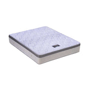 KASUR - SPRINGBED Kasur Springbed Serenity Supreme Pocket Spring SERENITY OSCARLIVING