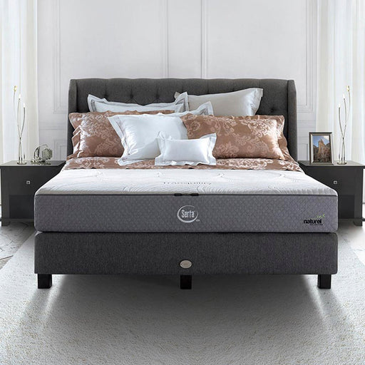 KASUR - SPRINGBED Kasur Springbed Serta Tranquility Fullset Austin SERTA OSCARLIVING