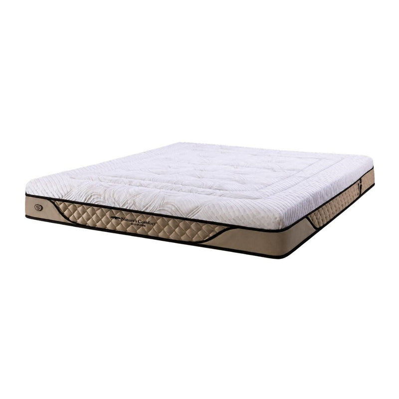 KASUR - SPRINGBED Kasur Springbed Spring Air Nature's Comfort Lux Plush SPRING AIR OSCARLIVING