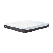 KASUR - SPRINGBED Kasur Springbed Tempur Pro Plus Smartcool Medium TEMPUR OSCARLIVING