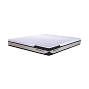 KASUR - SPRINGBED Kasur Springbed Therapedic Buoyancy F di Oscar Living dengan harga termurah