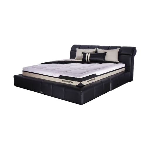 KASUR - SPRINGBED Kasur Springbed Therapedic Buoyancy M Set Armor THERAPEDIC OSCARLIVING