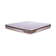 KASUR - SPRINGBED Kasur Springbed Therapedic Immunity M THERAPEDIC OSCARLIVING