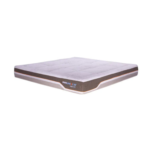 KASUR - SPRINGBED Kasur Springbed Therapedic Immunity M THERAPEDIC OSCARLIVING