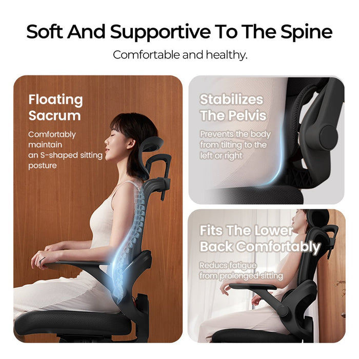 Kursi kantor Kursi Kantor Sihoo B100 SE 201 SIHOO OSCARLIVING