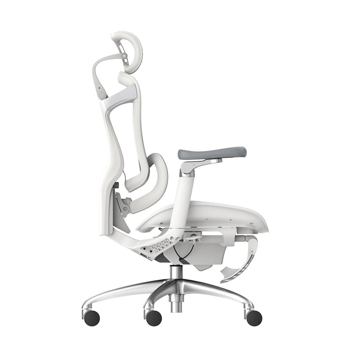 Kursi kantor Kursi Kantor Sihoo C300 102 JT SIHOO OSCARLIVING