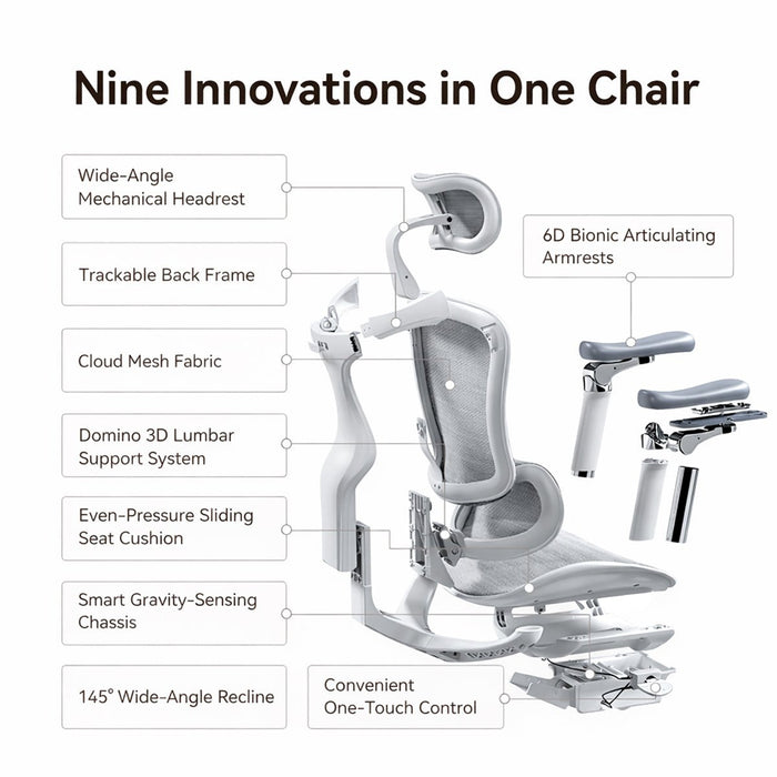Kursi kantor Kursi Kantor Sihoo C300 102 JT SIHOO OSCARLIVING