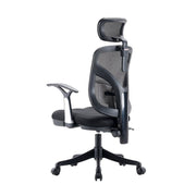 Kursi kantor Kursi Kantor Sihoo M56 202 SIHOO OSCARLIVING