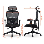 Kursi kantor Kursi Kantor Sihoo M56C V2 101 SIHOO OSCARLIVING
