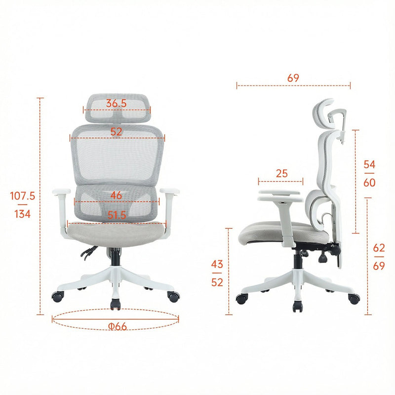 Kursi kantor Kursi Kantor Sihoo M56C V2 102 SIHOO OSCARLIVING