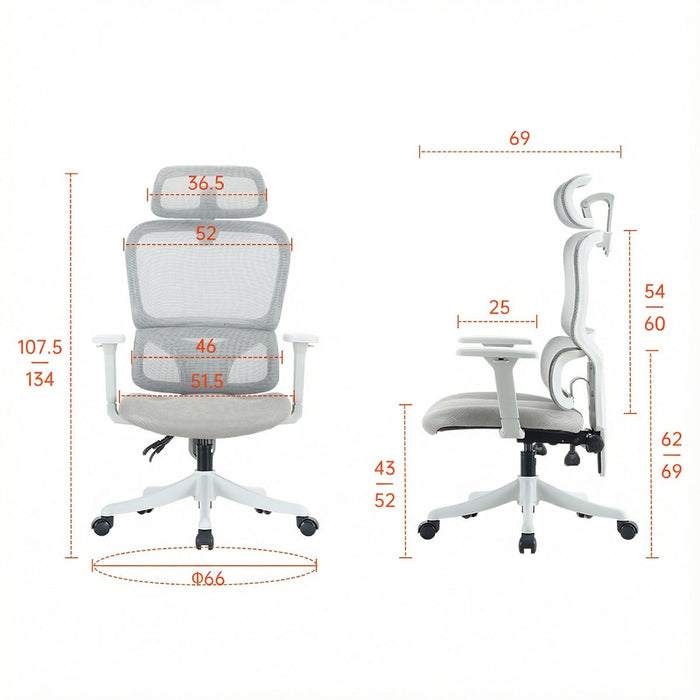 Kursi kantor Kursi Kantor Sihoo M56C V2 102 SIHOO OSCARLIVING