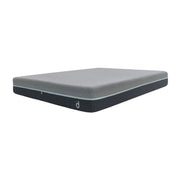 MATTRESS Kasur Domi Mattress All New Dual Comfort DOMI OSCARLIVING