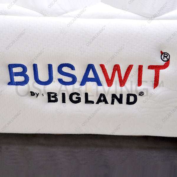 KASUR BUSA Kasur Busa Bigland Mattrass Foam Busawit | Fullset Celtics BIGLAND OSCARLIVING