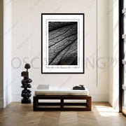 Fineart Photography Fineart Photography | Dry OSCARLIVING FINEART DIV OSCARLIVING