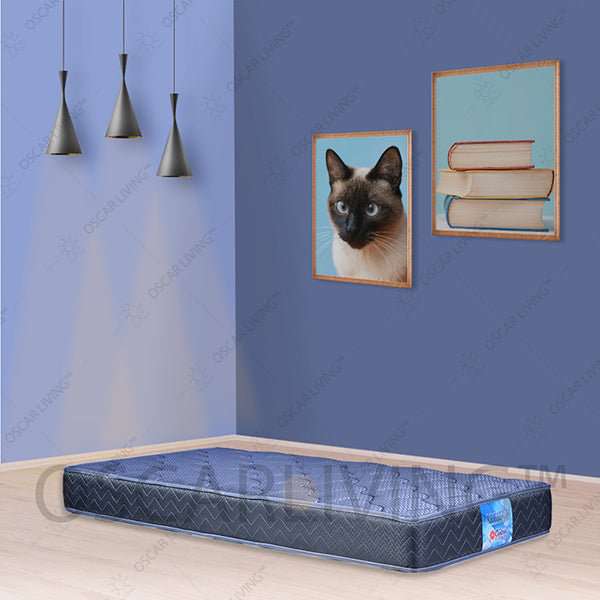 KASUR BUSA Kasur Busa Central Foam Dangdut CENTRAL OSCARLIVING