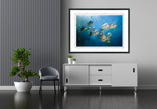 Fineart Photography Fineart Photography | Look Out OSCARLIVING OSCARLIVING